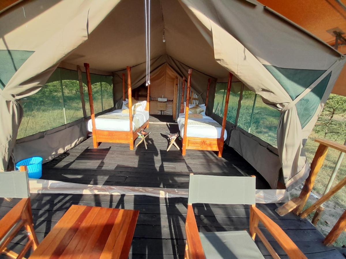 Tayari Luxury Tented Camp - Mara Luxury tent *