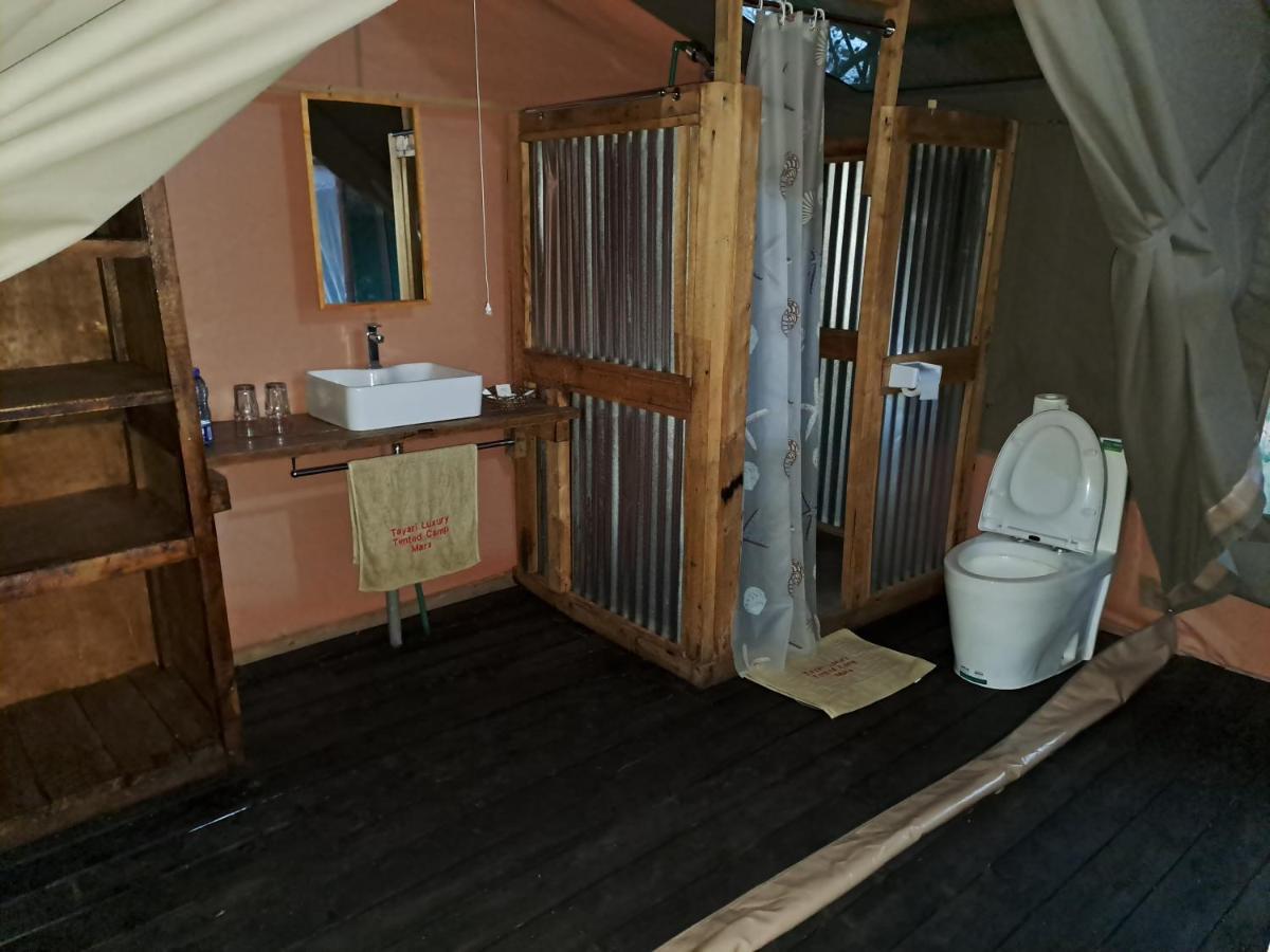 Tayari Luxury Tented Camp - Mara *