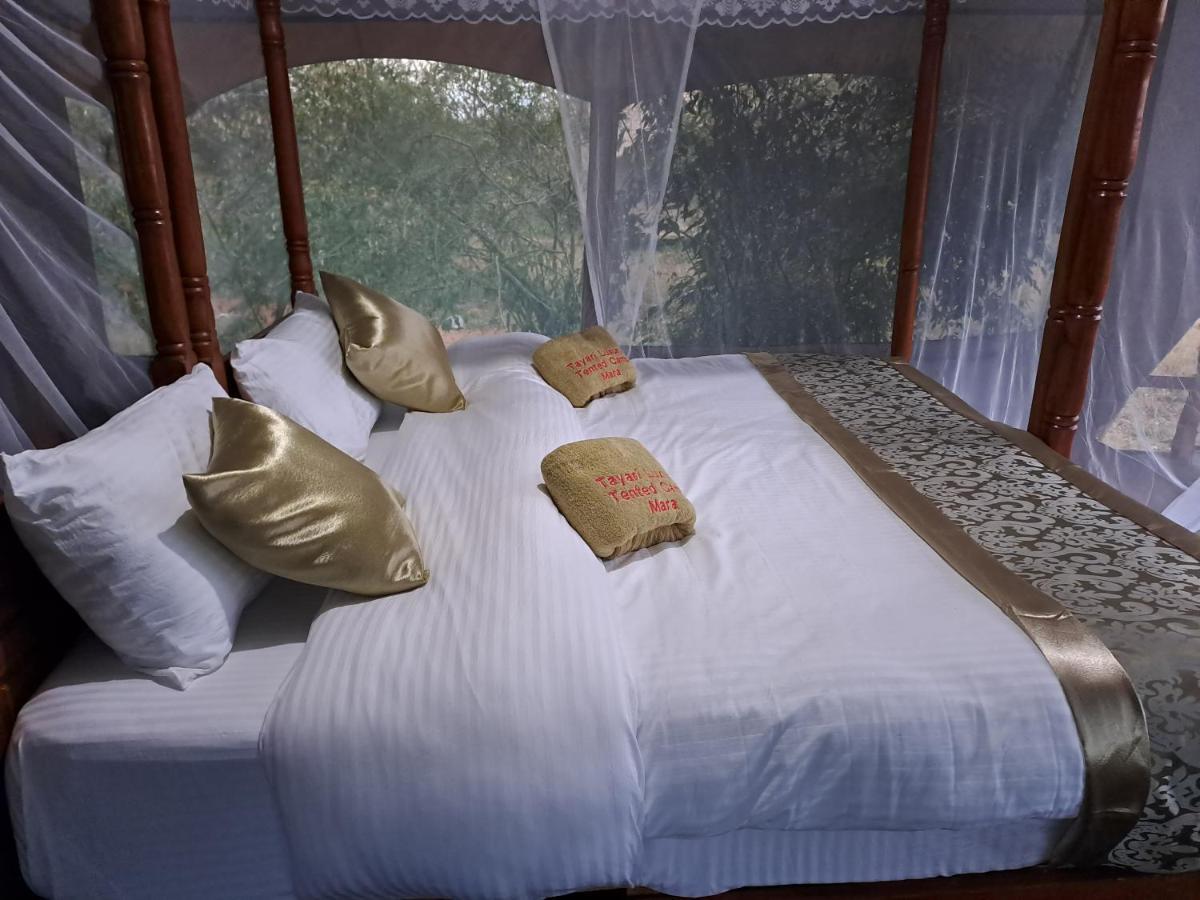 Luxury tent Tayari Luxury Tented Camp - Mara *