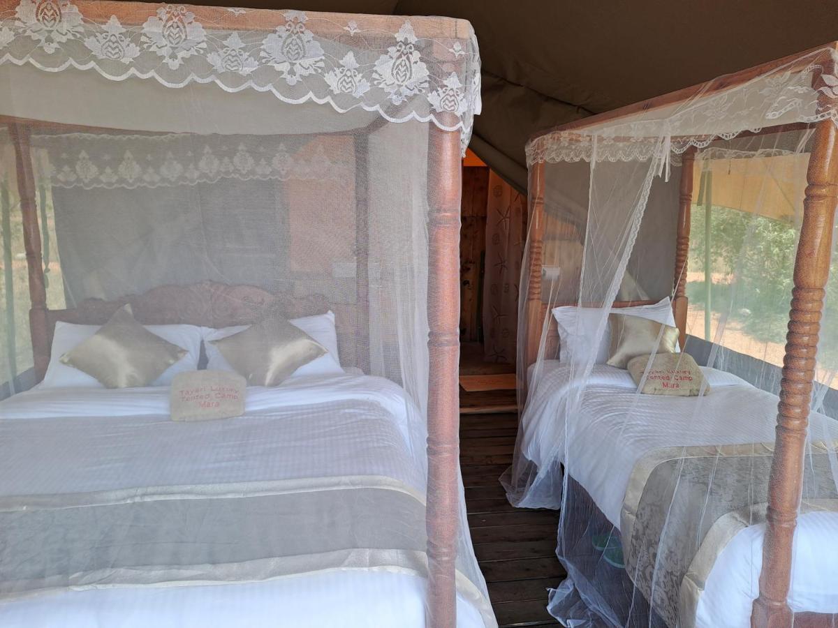 Tayari Luxury Tented Camp - Mara *